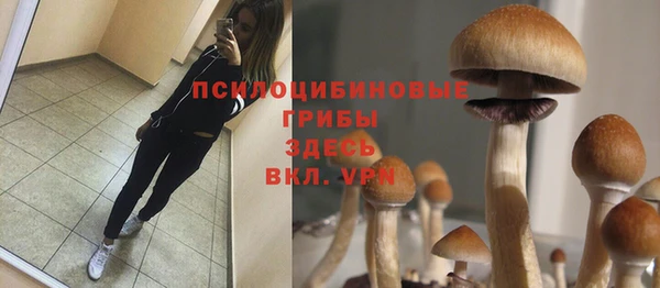 МДМА Михайловка